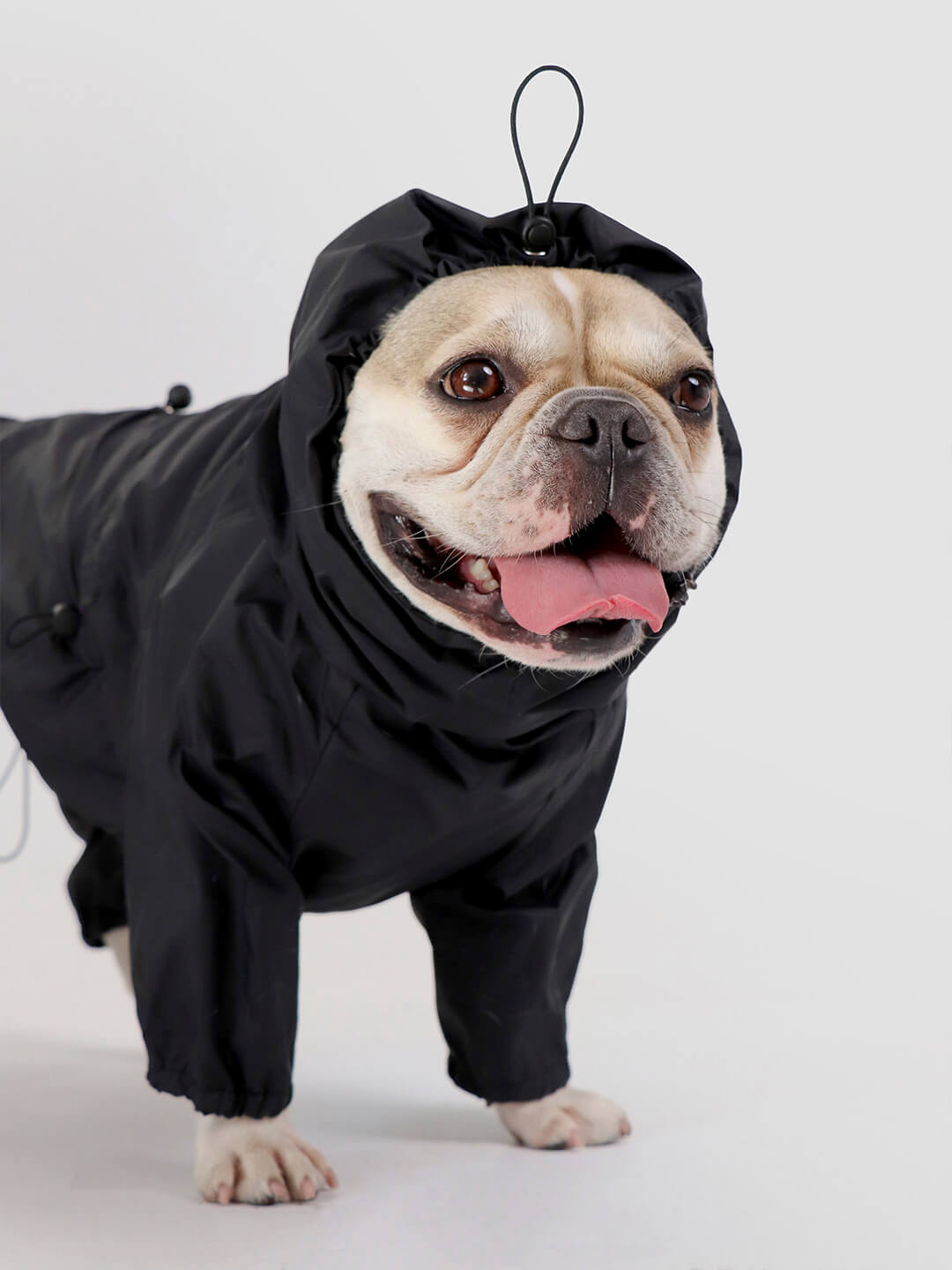 English on sale bulldog raincoat