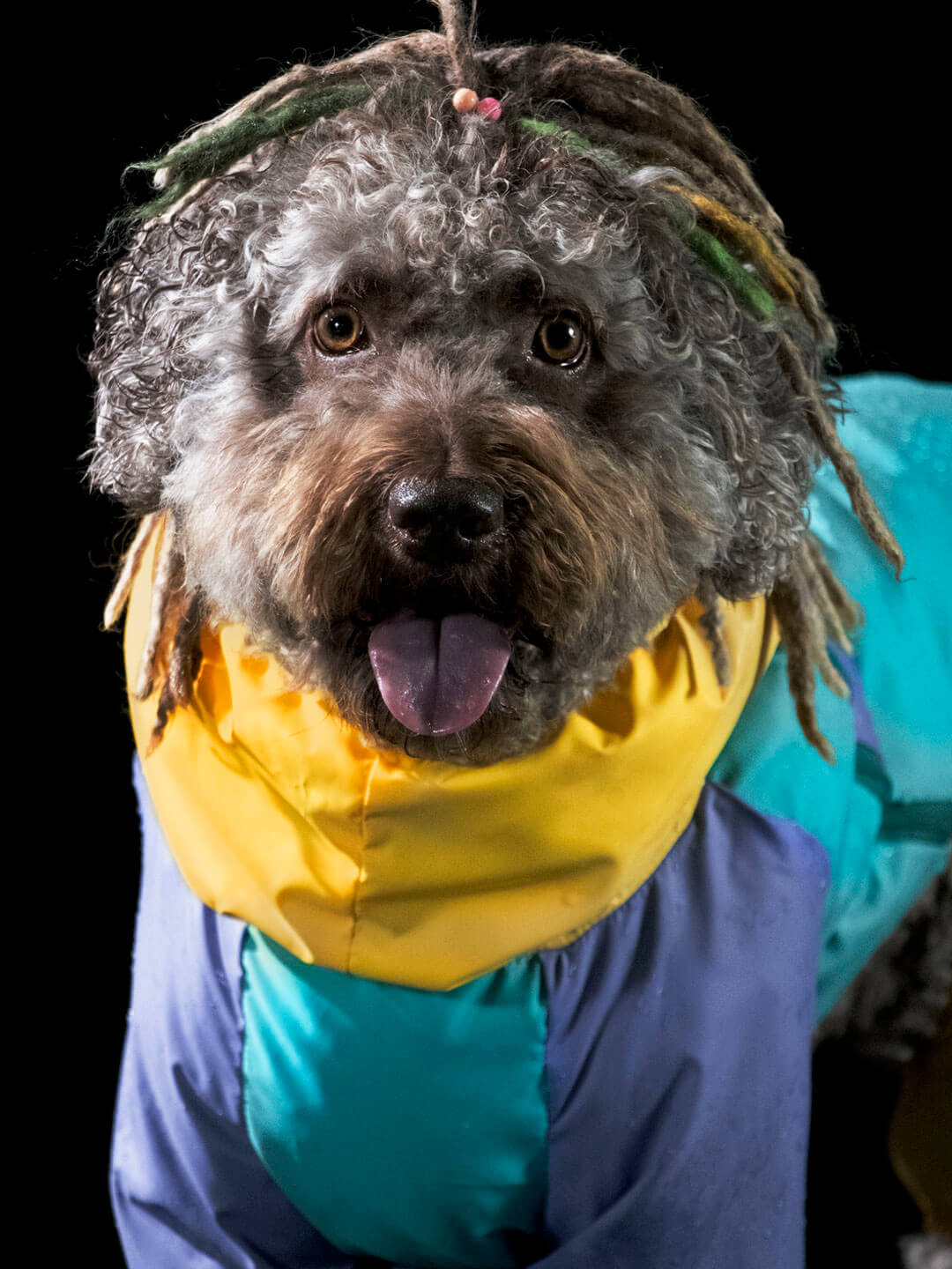 Tropical raincoat hotsell buy online