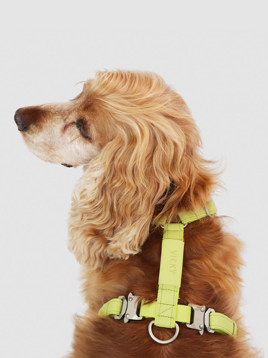 Air Harness Qisu Brand