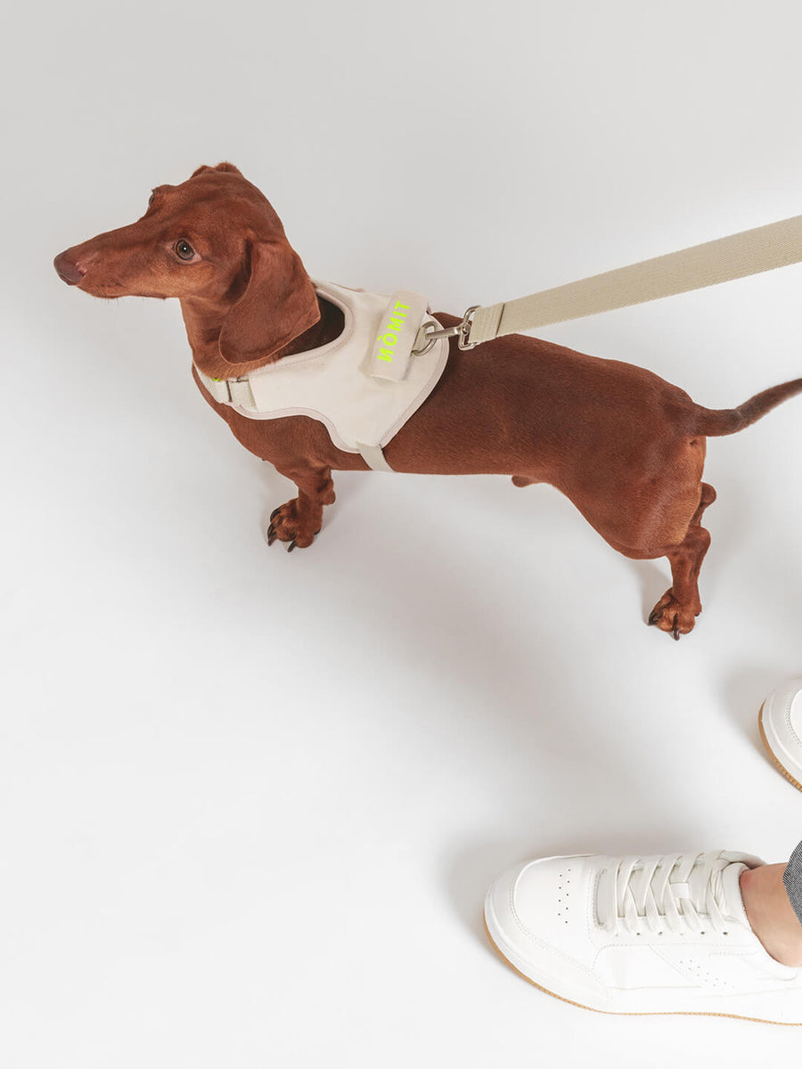 Hug Leash - Matching color