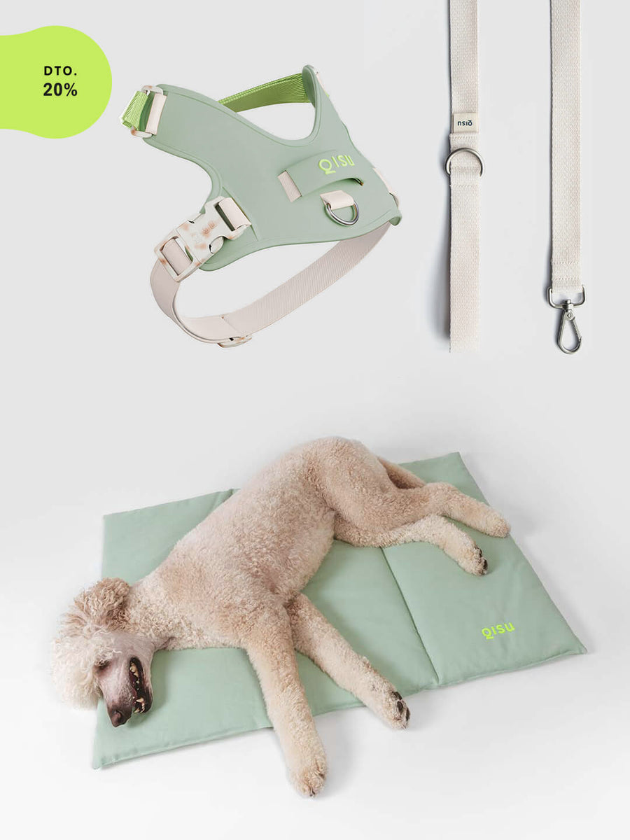 Pack: Hug Harness + Leash + Nomad Bed