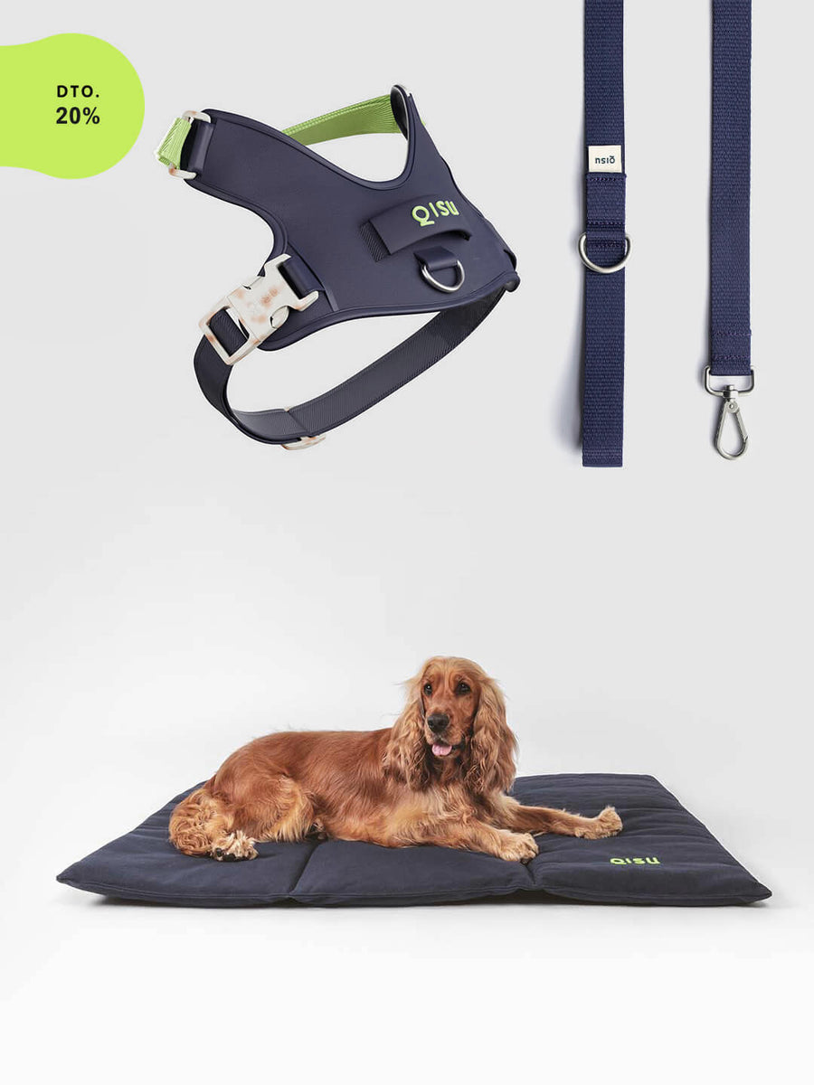 Pack: Hug Harness + Leash + Nomad Bed