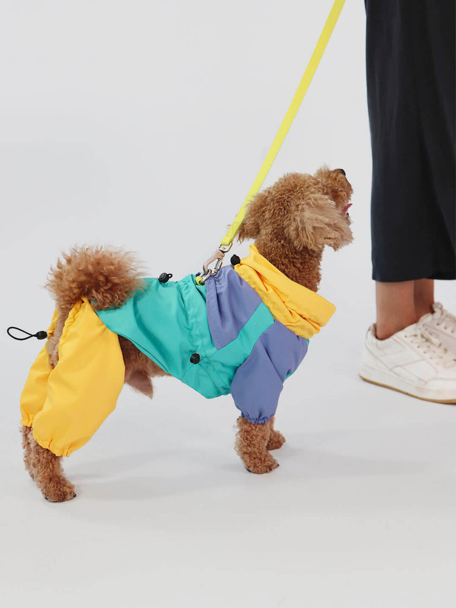 Xxs store dog raincoat