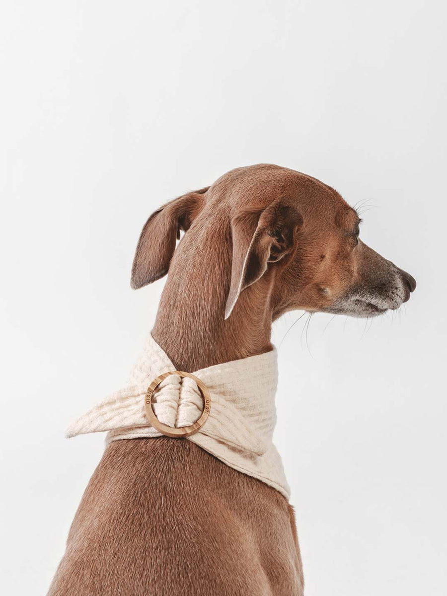 Whippet bandana shop